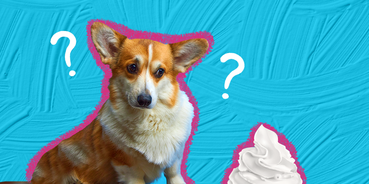 Can Dogs Eat Ice Cream Safely
