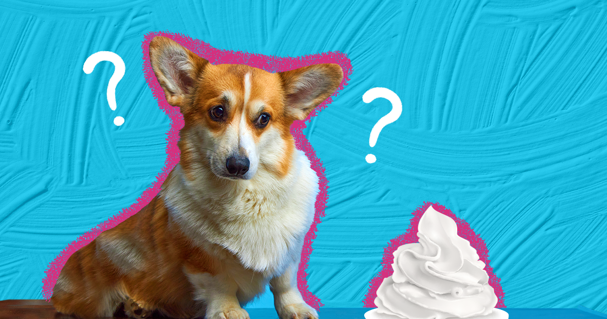 are dogs allowed to eat ice cream