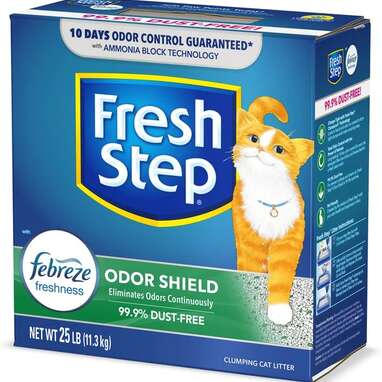 Best odor 2025 blocking cat litter