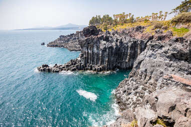 Jusangjeollidae in Jeju Island
