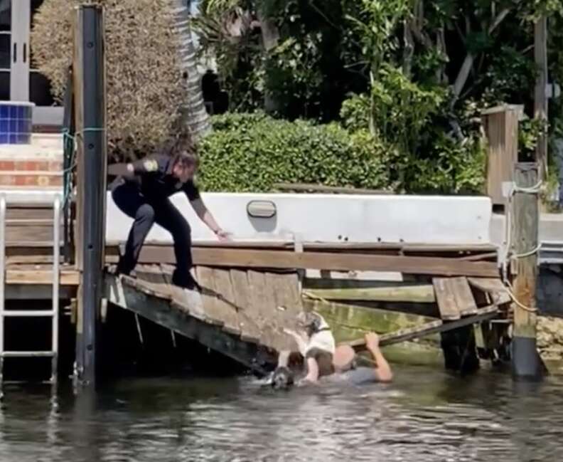 Police See Animal Drowning In Canal And Make A Split-Second Decision - The  Dodo