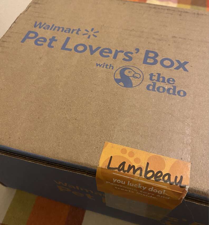 Walmart’s Pet Lovers’ Box With The Dodo