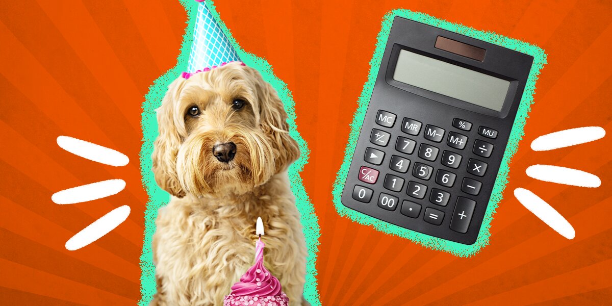 Dog years to human best sale year calculator