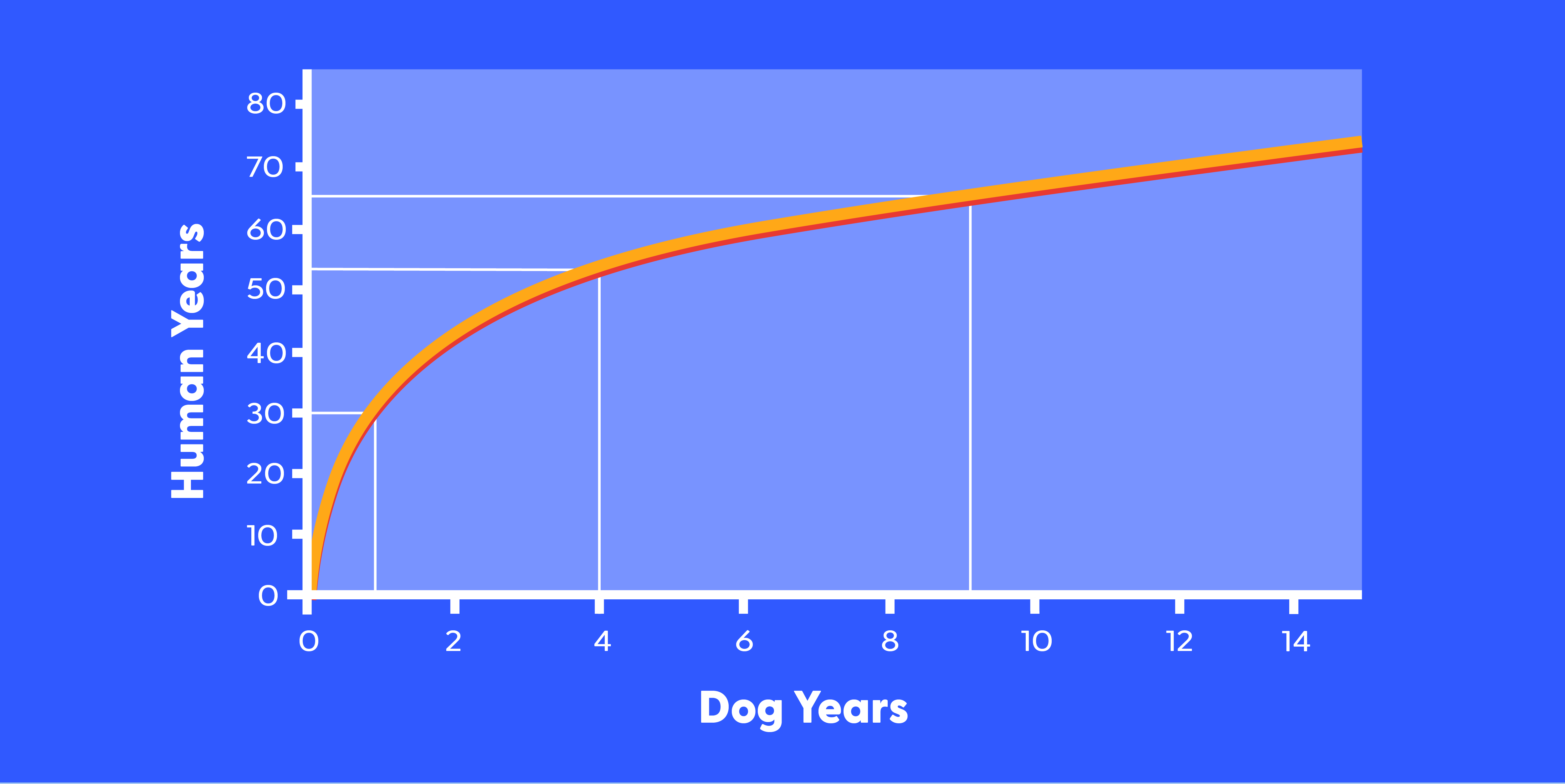 Dog Years To Human Years The “Multiply By 7” Ratio Has Been Updated