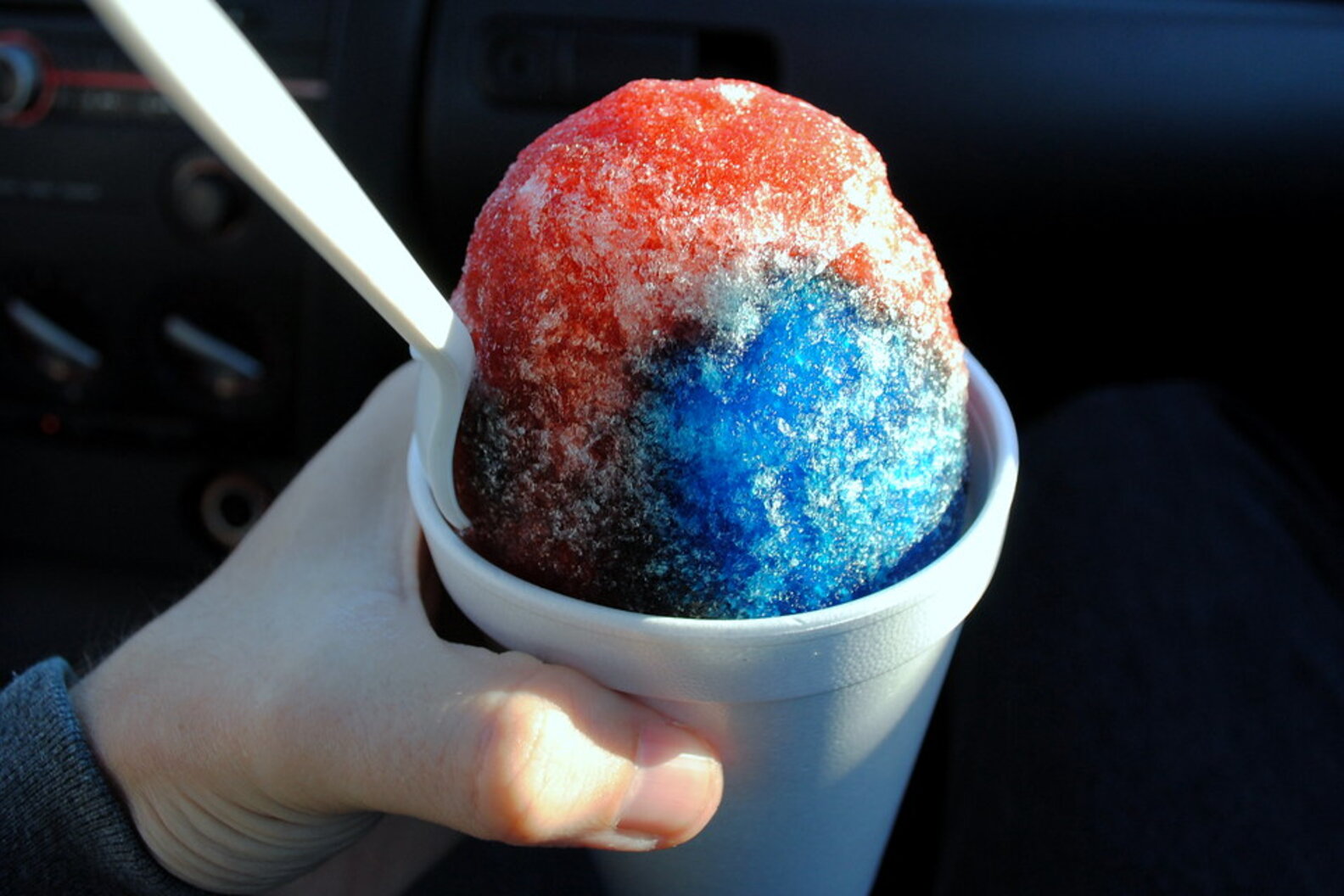 Guide to Pontchartrain Park in New Orleans Things to Do Near Lake