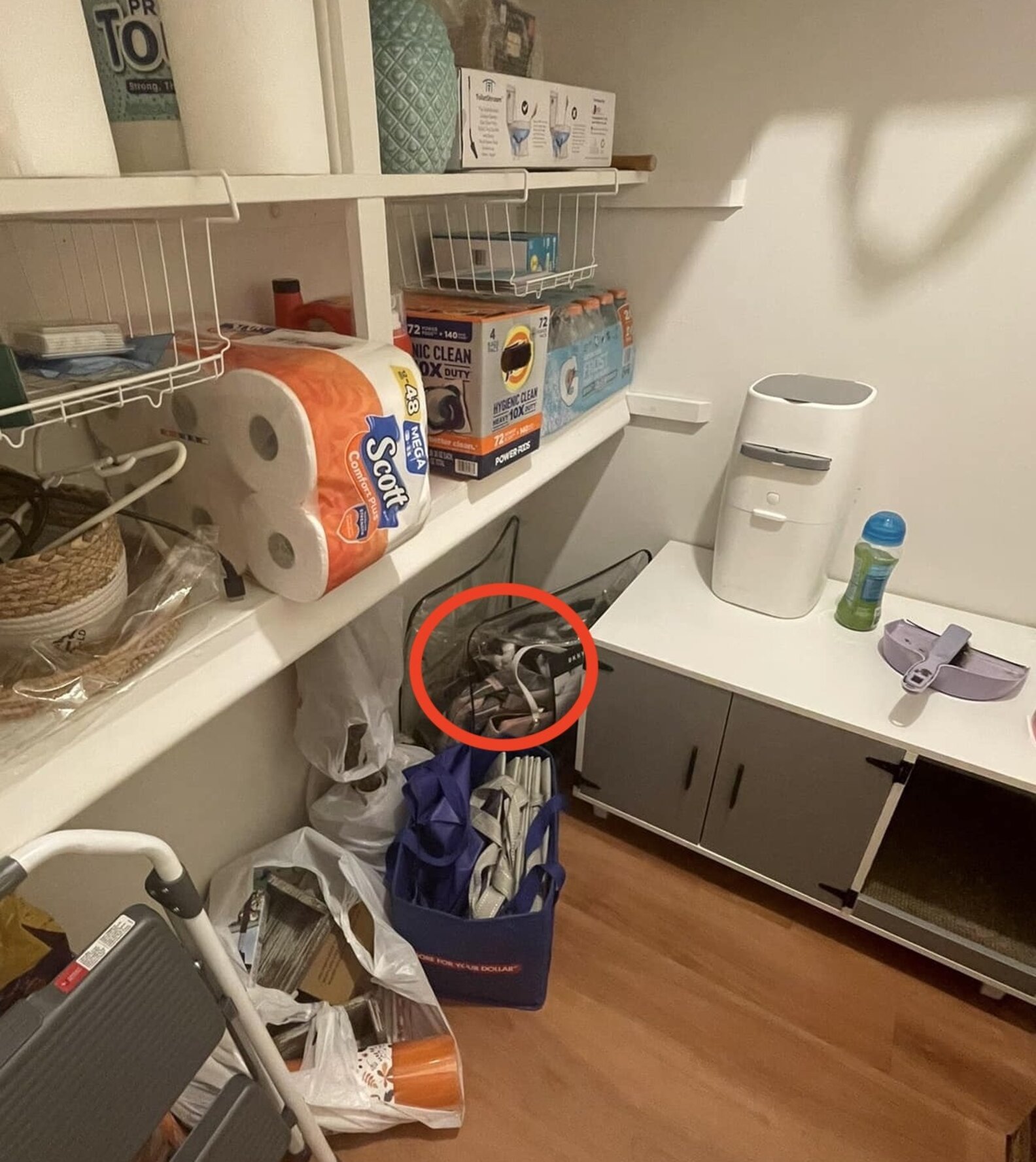 Woman loses cat finds her hiding in plain sight the dodo