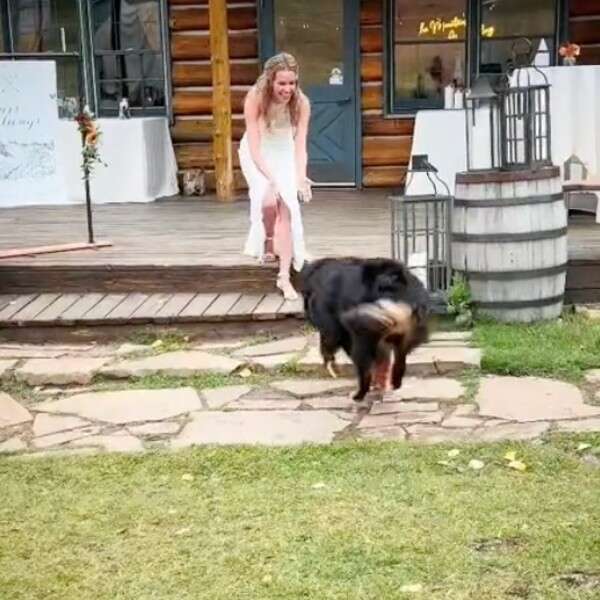dog runs toward bride