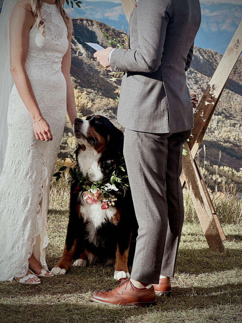 dog waits at altar