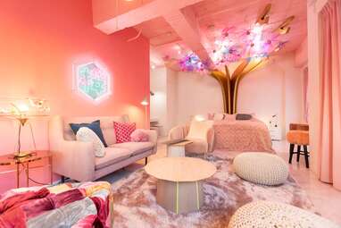 tokyo airbnb cherry blossoms