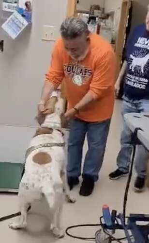 A dog reunites with his dad.