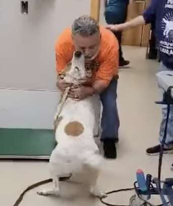 dog reunites with his dad.