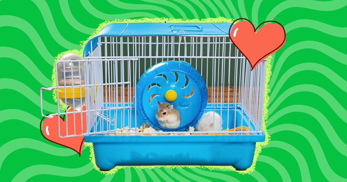 Hamster Cage w/ Wheel Pet Play Exercise 3 Tiers Mouse Rodents For Small  Animals