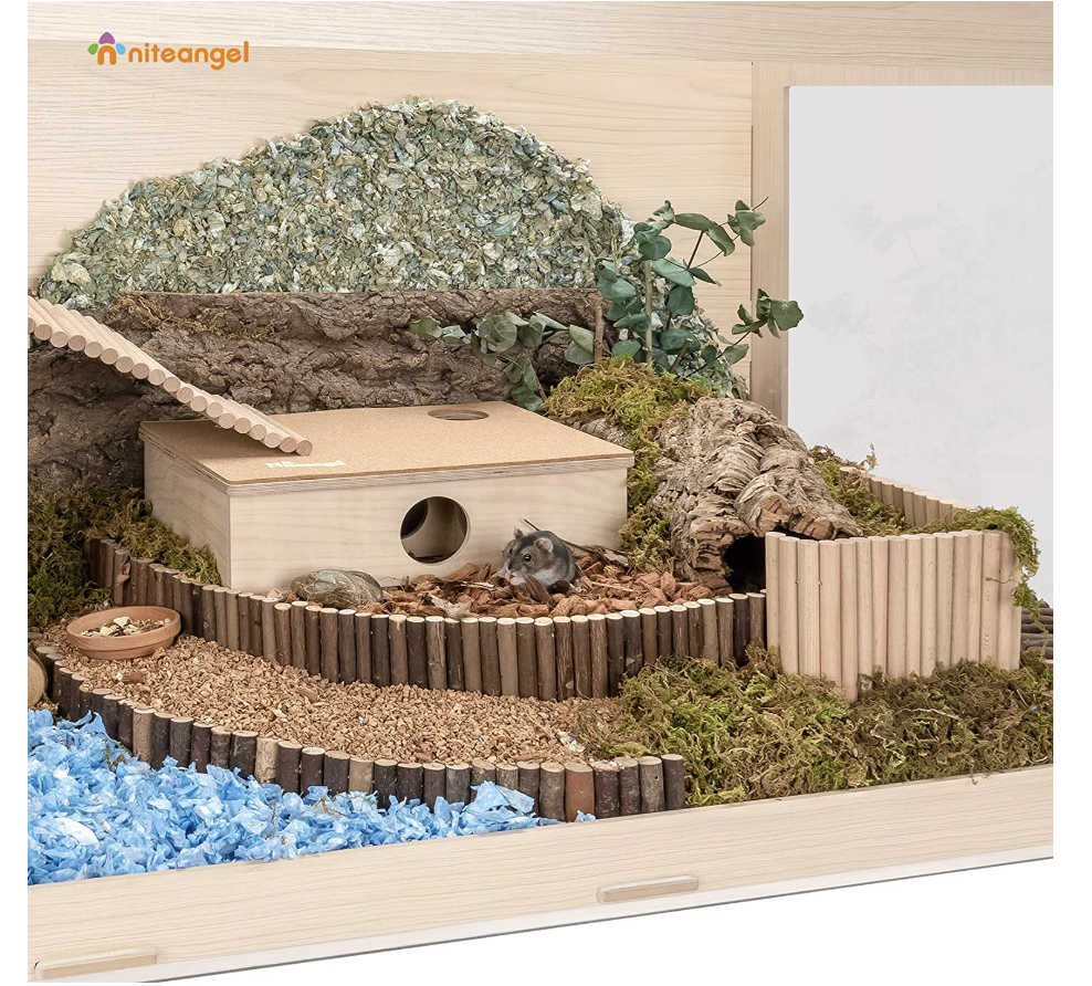 Hamster Cages The 7 Best Habitats For Your Hamster DodoWell The Dodo