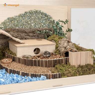 Best hamster homes best sale