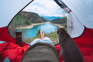 person laying in tent with cat