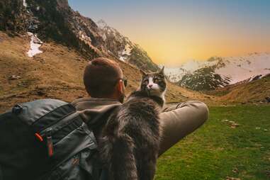 Man walking outdoors with cat