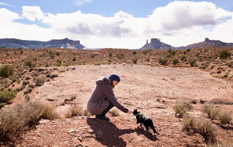 person petting cat in the desert