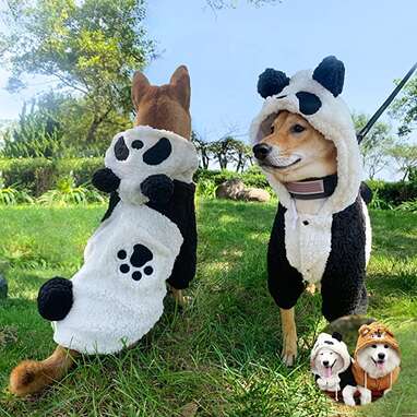 If your pup needs a cozy hoodie: Dougez Panda Dog Sweater 