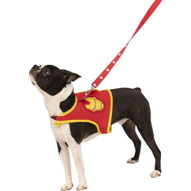An easy-to-wear harness and matching leash set: Rubie's Marvel Classic Iron Man Pet Leash and Harness