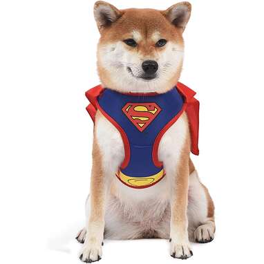 A sturdy Superman harness with a cape: DC Comics for Pets Superman Dog Harness