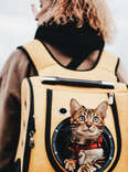 Teach Your Kitty to Camp, Sail, and Hike by Your Side