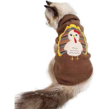 Bundle up before dinner: Hotumn Thanksgiving Pet Sweater