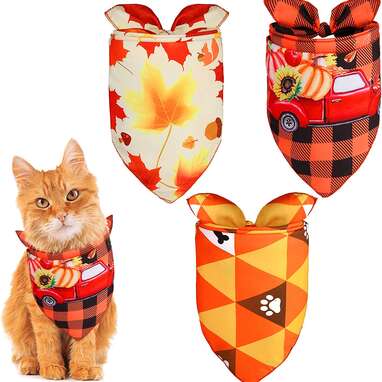 For the cat who likes to keep things simple: URATOT 3-Pack Thanksgiving Bandanas