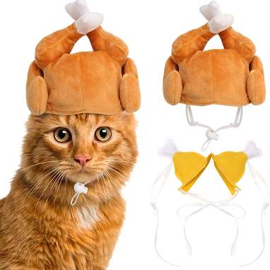 For the cat who loves comedy: Rypet Thanksgiving Cat Costume