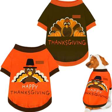 Thanksgiving dog clothes discount