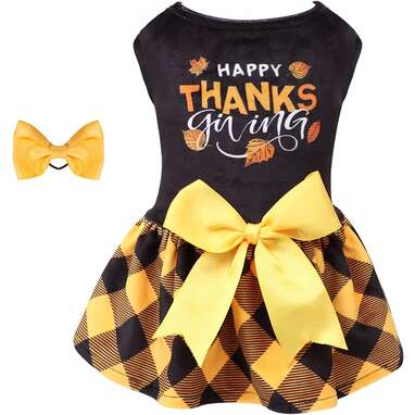 Dog Thanksgiving Outfit 9 Options That Your Guests Will