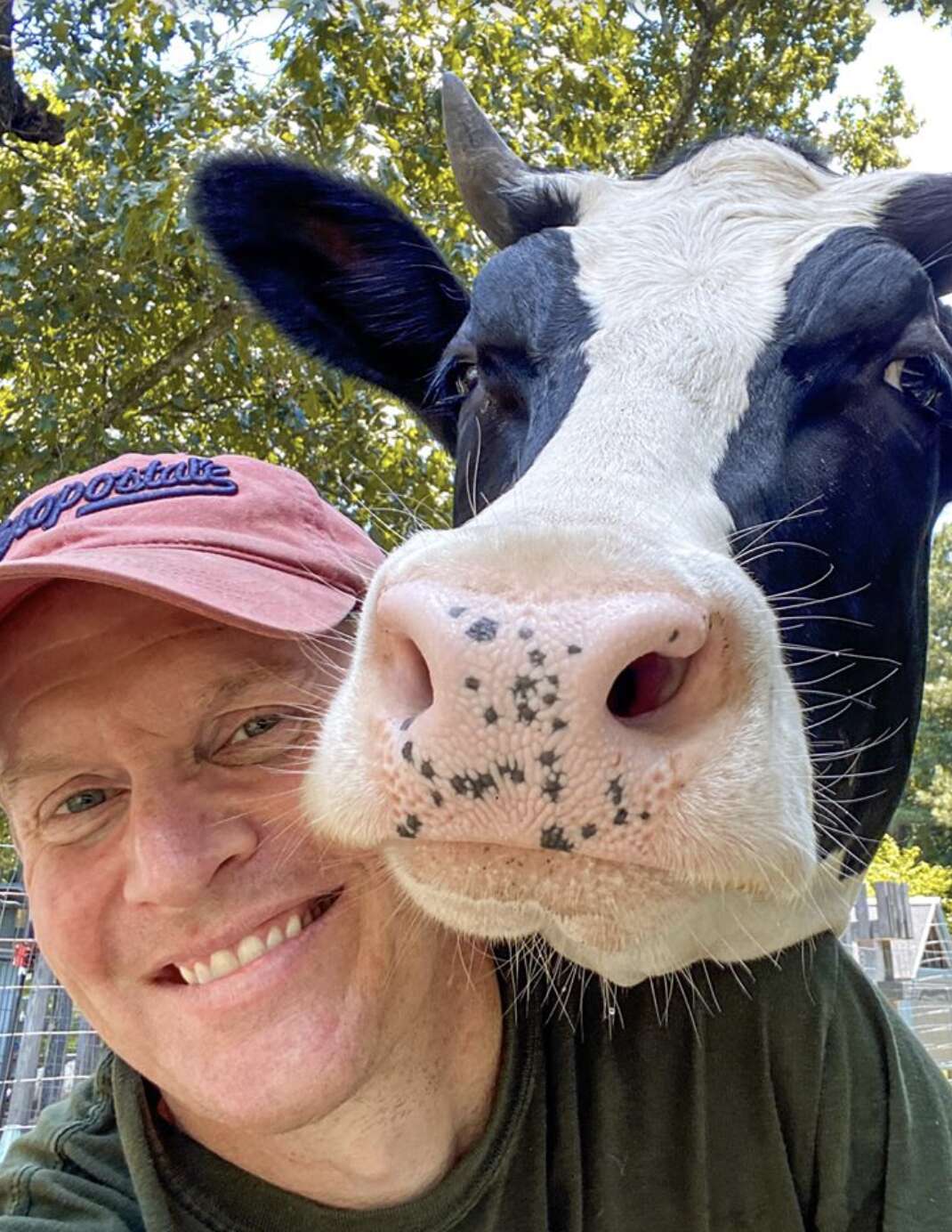 A man and his best friend, a cow pose for the camera.