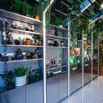 Greenhouse Cafe at SEED Brklyn