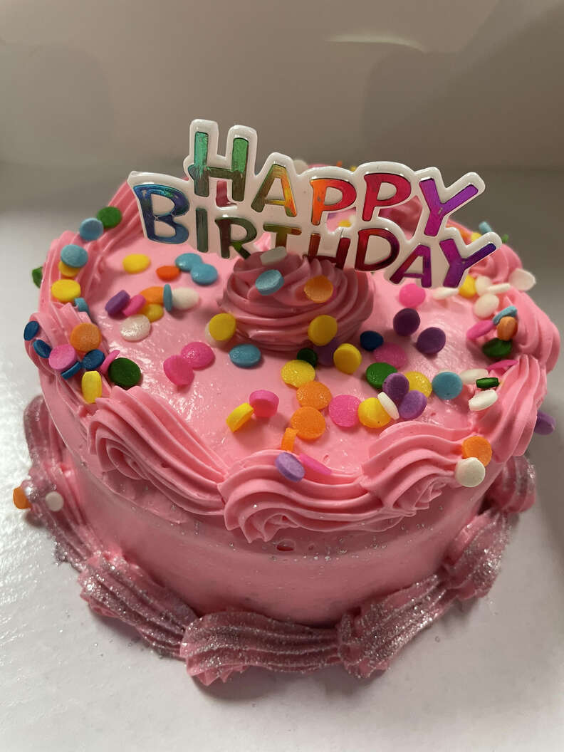 A pink birthday cake for a senior dog.