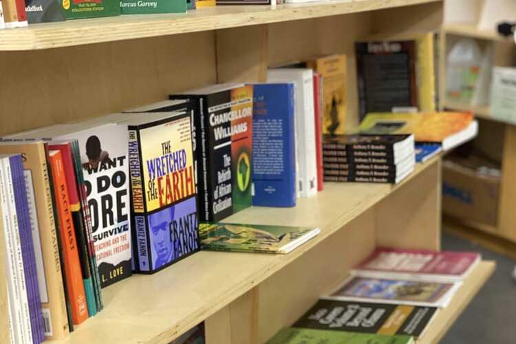 Cozy bookstore, shelves brimming with books under the warm library