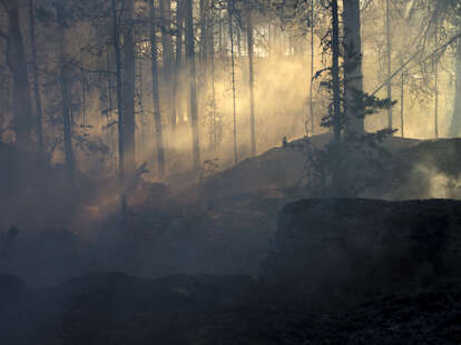 Sweden haunted forest story