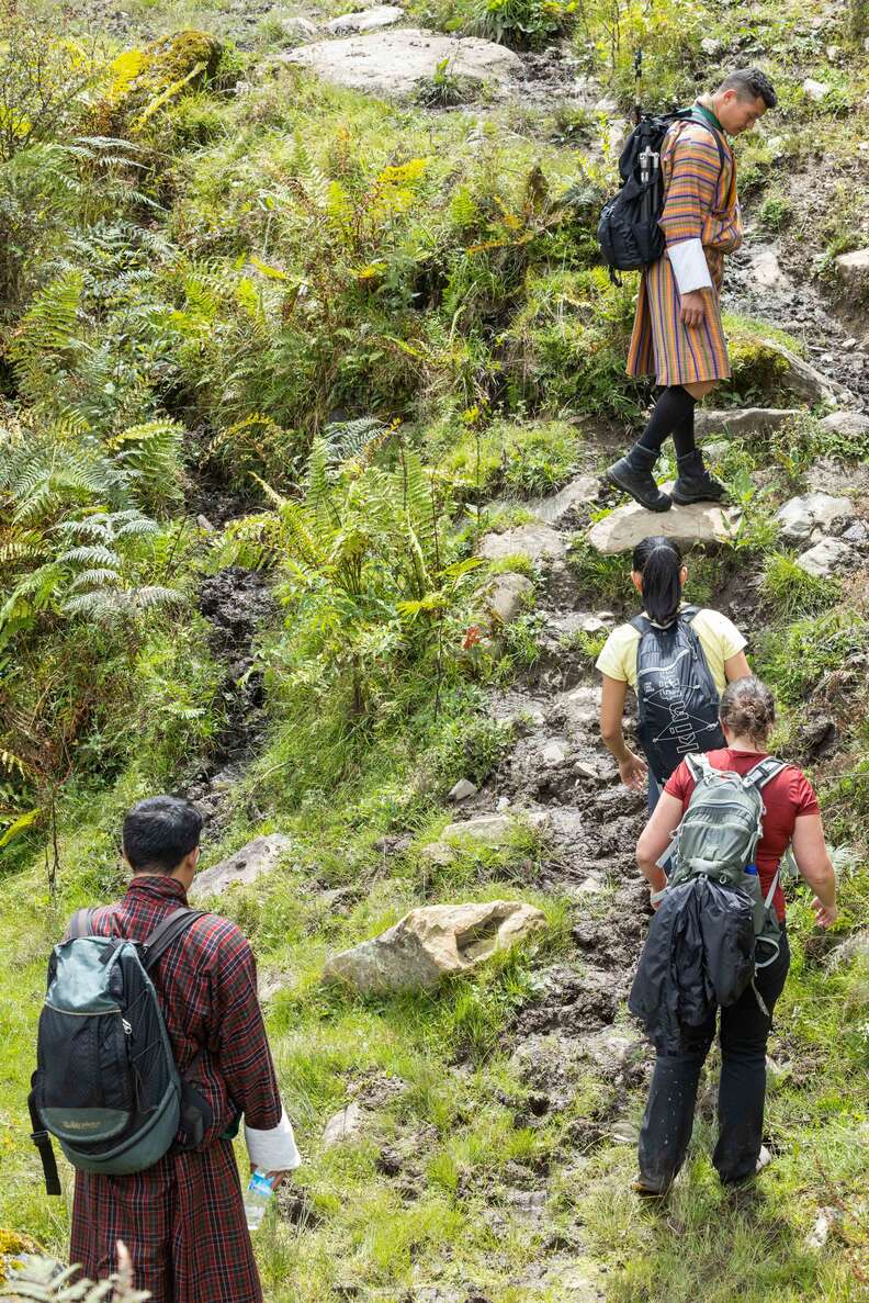 people hiking up mountain trail