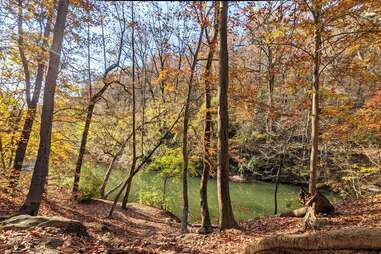 Friends of the Wissahickon