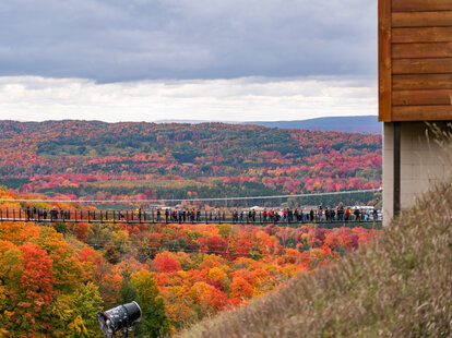 michigan suspension bridge