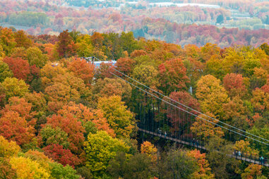 Michigan skybridge