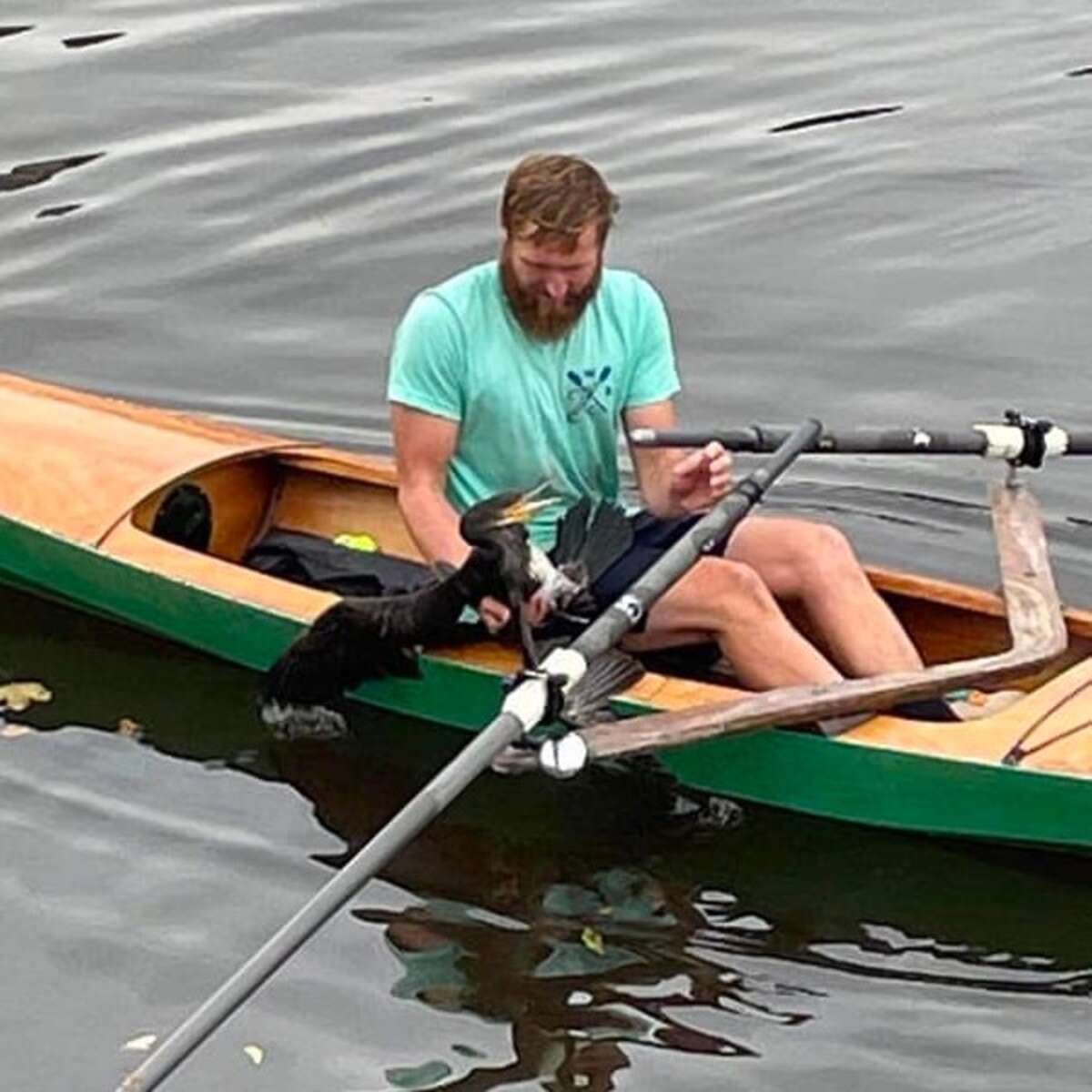 Rower Hears People Shouting From Shore And Ends Up Saving A Life - The Dodo