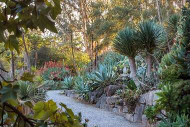 San Francisco Botanical Garden