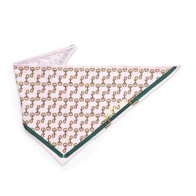 For the classiest of pups: Boulevard Personalized Remy Buckle Dog Bandana