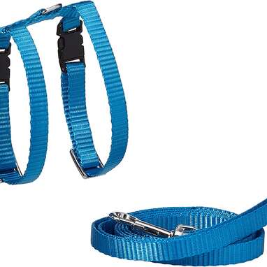 Best cat harness for super-small kittens: Marshall Pet Products Harness