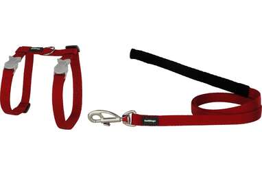 Best cat harness for expert escape artists: Red Dingo Classic Nylon Cat Harness