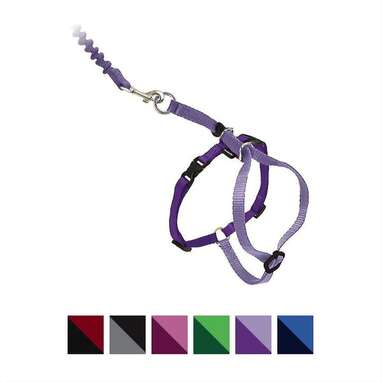 Best cat harness and leash duo: PetSafe Come With Me Kitty Harness and Leash Set