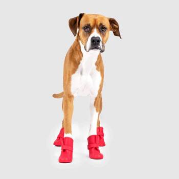 Best dog 2025 rain boots