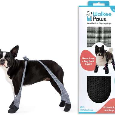 Walkee Paws Waterproof Dog Leggings Review