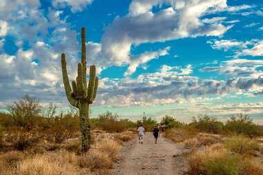 McDowell Sonoran Conservancy