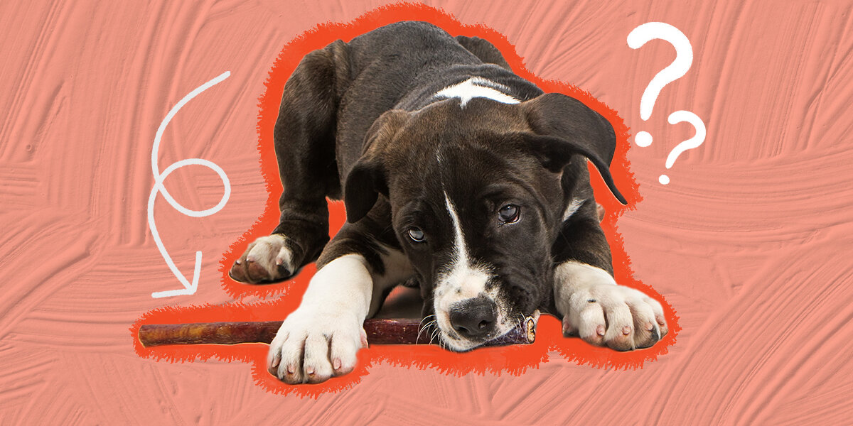 What are bully sticks made out of for dogs deals