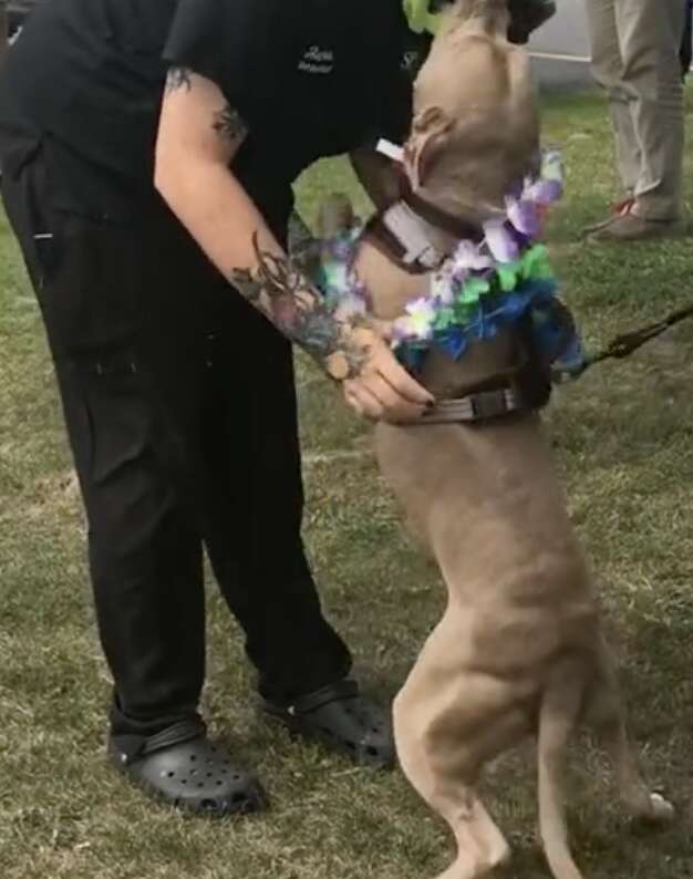 A dog kisses a caretaker.